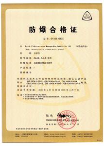 Certificate of Conformity (China - Ex NEPSI) - Stratos Pro
