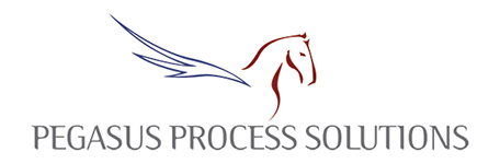 Pegasus Process Solution