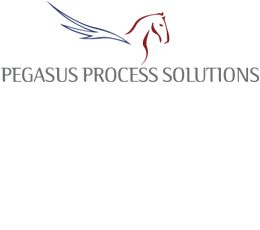 Pegasus Process Solution