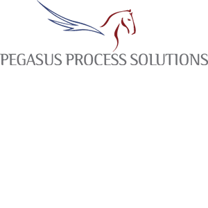 Pegasus Process Solution