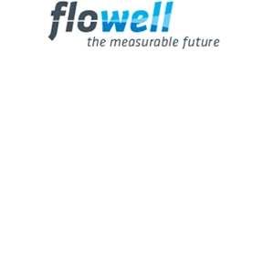 Flowell Ltd.