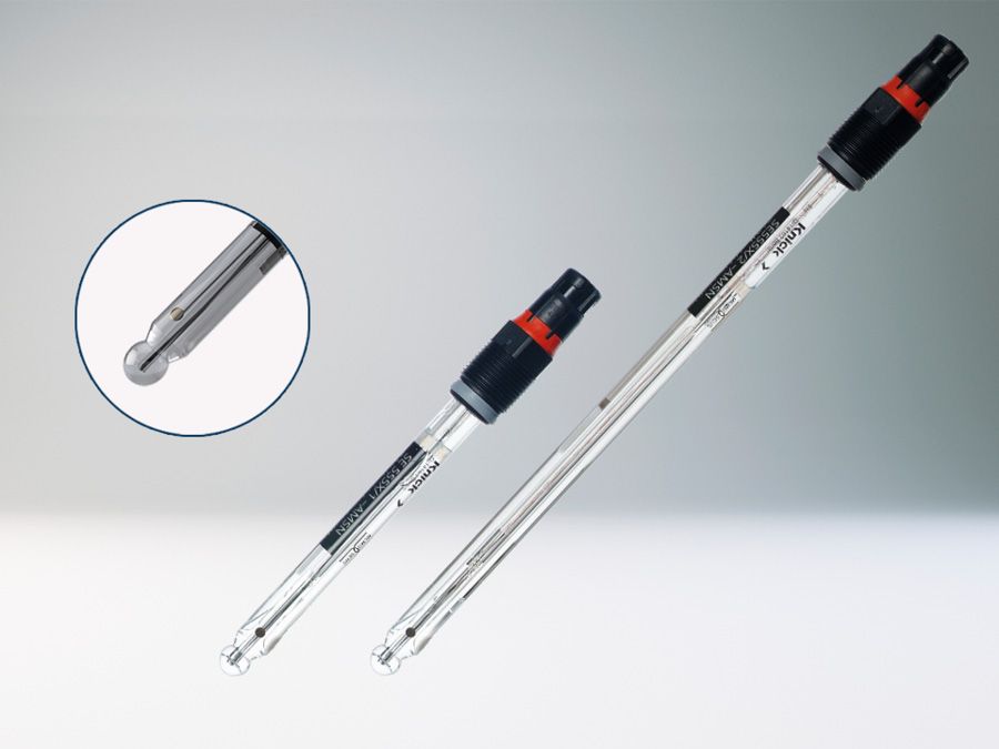 SE555X/*-AMSN - Combined Measurement pH and ORP